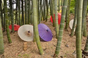 Kodai-ji ou Kodaijusho-Zenji - Kyoto (Japon) - Période Edo - Temple bouddhiste - Jardin de promenade avec étang et karesansui (jardin sec) - Fondé en 1605 par Kita no Mandokoro (épouse de Toyotomi Hideyoshi)